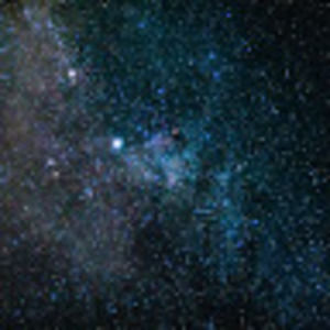 Meet your Posher, Owen